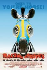 Watch Racing Stripes Niter