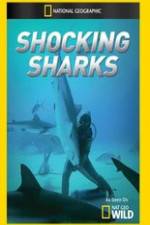 Watch Shocking Sharks Niter