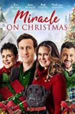 Watch Miracle on Christmas Niter
