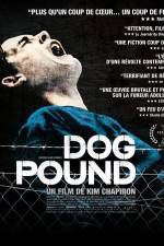 Watch Dog Pound Niter