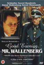Watch Good Evening, Mr. Wallenberg Niter
