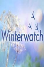 Watch Winterwatch Niter