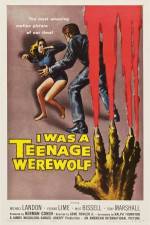 Watch I Was a Teenage Werewolf Niter