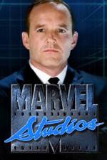 Watch Marvel One-Shot The Consultant Niter