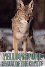 Watch Yellowstone: Realm of the Coyote Niter