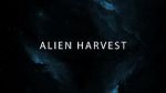 Watch Alien Harvest Niter