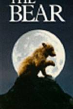 Watch The Bear - (L'ours) Niter