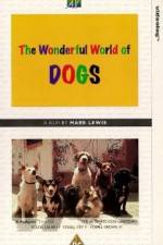 Watch The Wonderful World of Dogs Niter