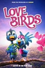 Watch Love Birds Niter