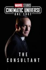 Watch Marvel One-Shot: The Consultant Niter