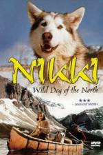 Watch Nikki Wild Dog of the North Niter