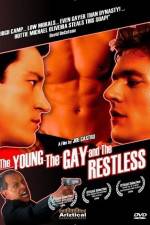 Watch The Young the Gay and the Restless Niter