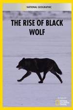 Watch The Rise of Black Wolf Niter