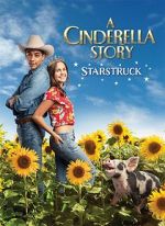 Watch A Cinderella Story: Starstruck Niter
