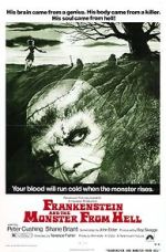 Watch Frankenstein and the Monster from Hell Niter