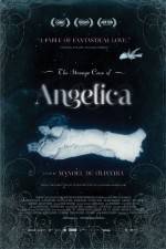 Watch The Strange Case of Angelica Niter