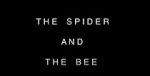 Watch The Spider and the Bee Niter