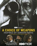 Watch A Choice of Weapons: Inspired by Gordon Parks Niter