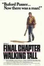 Watch Final Chapter Walking Tall Niter