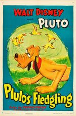 Watch Pluto\'s Fledgling Niter