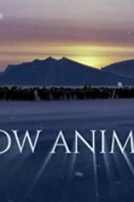 Watch Snow Animals Niter