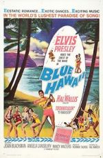 Watch Blue Hawaii Niter