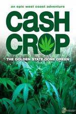 Watch Cash Crop Niter