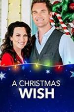Watch A Christmas Wish Niter