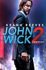 Watch John Wick Chapter 2: Wick-vizzed Niter
