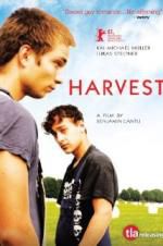 Watch Harvest Niter