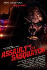 Watch Sasquatch Assault Niter
