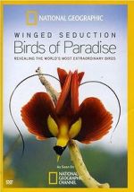 Watch Winged Seduction: Birds of Paradise Niter