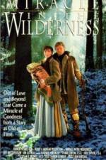 Watch Miracle in the Wilderness Niter