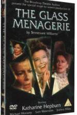 Watch The Glass Menagerie Niter
