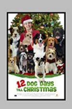 Watch 12 Dog Days Till Christmas Niter