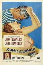 Watch Female on the Beach Niter