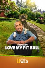 Watch Cesar Millan: Love My Pit Bull Niter