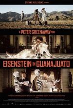 Watch Eisenstein in Guanajuato Niter