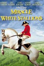 Watch Miracle of the White Stallions Niter