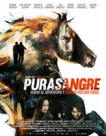 Watch Purasangre Niter
