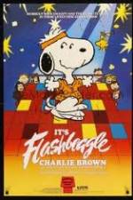 Watch It's Flashbeagle Charlie Brown Niter