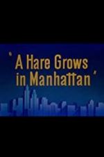 Watch A Hare Grows in Manhattan Niter