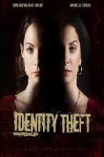 Watch Identity Theft The Michelle Brown Story Niter