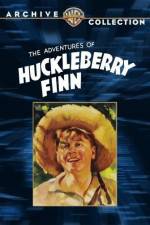 Watch Huckleberry Finn Niter