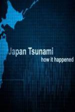 Watch Japan Tsunami: How It Happened Niter