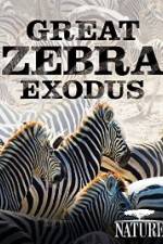 Watch Nature: Great Zebra Exodus Niter