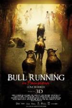 Watch Encierro 3D: Bull Running in Pamplona Niter