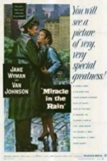 Watch Miracle in the Rain Niter