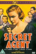 Watch Secret Agent Niter