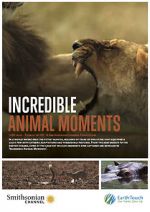 Watch Incredible Animal Moments Niter